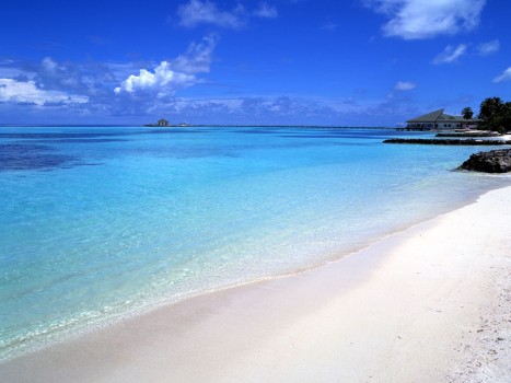 Populære gadgets til rejsen